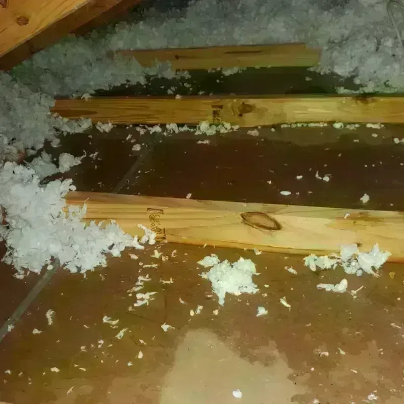 Attic Water Damage in Ceredo, WV